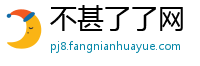 不甚了了网